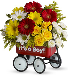 Baby's Wow Wagon - BOY Flower Power, Florist Davenport FL